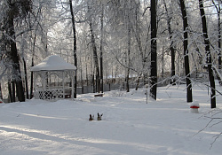 Природа - зима